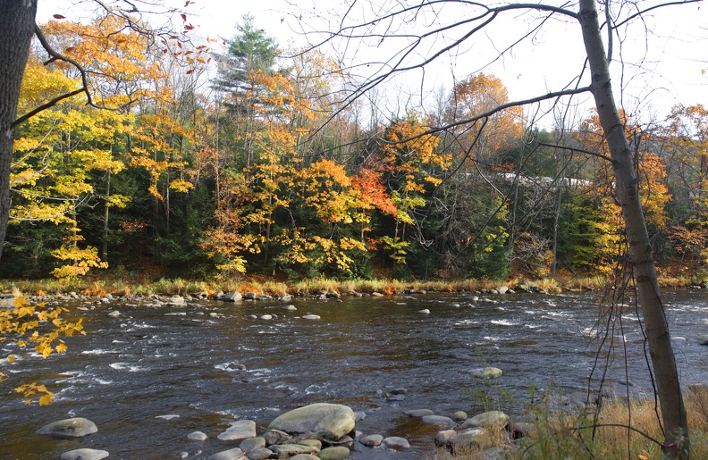 315-2496-2499 Fall Colors by the River.jpg